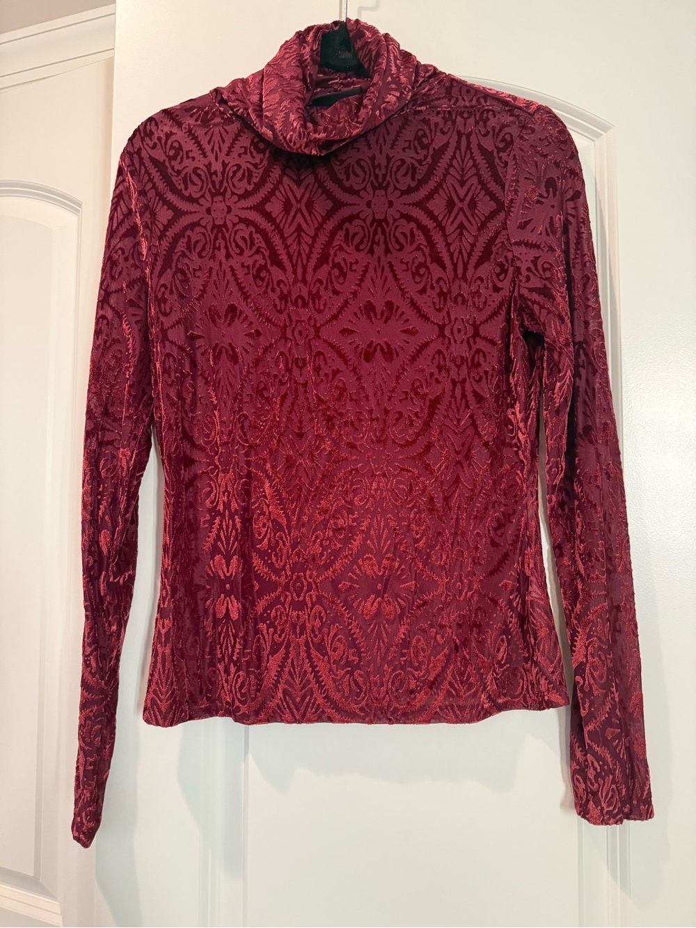 Vici Burgundy Velvet Burnout Turtleneck Long Sleeve Top